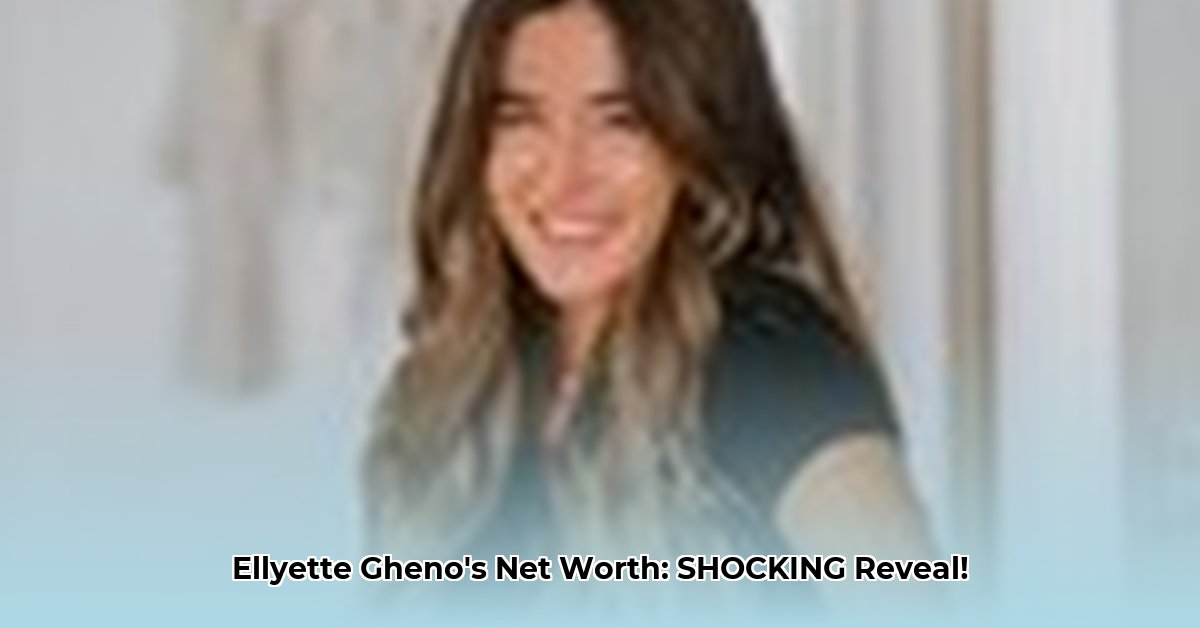 ellyette-gheno-net-worth